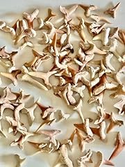 Bulk lot 100 for sale  Delivered anywhere in USA 