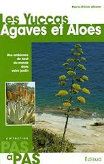 Yuccas agaves aloès d'occasion  Livré partout en Belgiqu