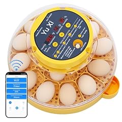 Eggs incubator hatching for sale  Delivered anywhere in UK