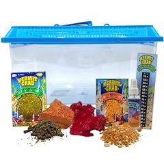 Hermit crab habitat for sale  Delivered anywhere in USA 