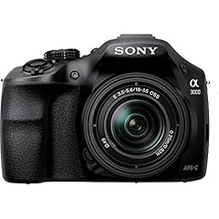 Sony alpha a3000 for sale  Delivered anywhere in USA 