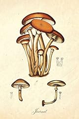 Journal magic mushrooms for sale  Delivered anywhere in Ireland