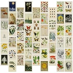 Pcs vintage postcards for sale  Delivered anywhere in UK