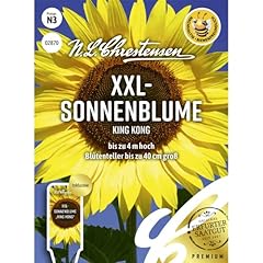 Xxl sonnenblume king gebraucht kaufen  Wird an jeden Ort in Deutschland