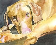 Vizsla art print for sale  Delivered anywhere in USA 