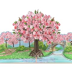 Mokio pop blumenkarte gebraucht kaufen  Wird an jeden Ort in Deutschland