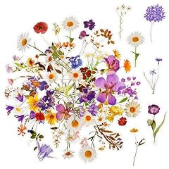 120 stück blumen gebraucht kaufen  Wird an jeden Ort in Deutschland