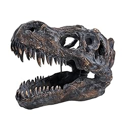 Heinbow rex skull for sale  Delivered anywhere in USA 