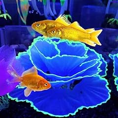 Besimple artificial coral for sale  Delivered anywhere in USA 