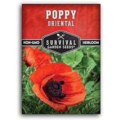 Survival garden seeds for sale  Delivered anywhere in USA 