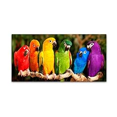 Rainbow parrots mike for sale  Delivered anywhere in USA 