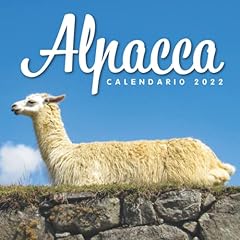Alpacca calendario 2022 gebraucht kaufen  Wird an jeden Ort in Deutschland