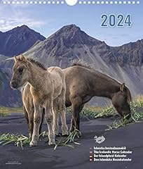 Horse calendar iceland for sale  Delivered anywhere in USA 