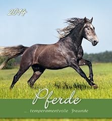 Pferde 2014 postkartenkalender gebraucht kaufen  Wird an jeden Ort in Deutschland