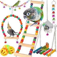 Bird toys parakeets for sale  Delivered anywhere in USA 