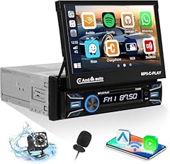 Wireless camecho wireless usato  Spedito ovunque in Italia 