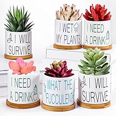 Succulent pots funny for sale  Delivered anywhere in USA 
