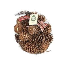 Scented pine cones for sale  Delivered anywhere in USA 