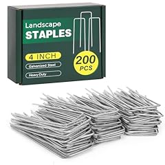 Cewor 200 pack for sale  Delivered anywhere in USA 