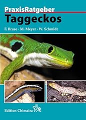 Taggeckos gebraucht kaufen  Wird an jeden Ort in Deutschland