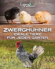 Zwerghühner ideale tiere gebraucht kaufen  Wird an jeden Ort in Deutschland