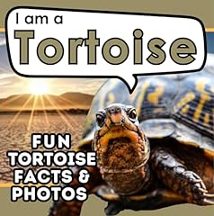 Tortoise children book for sale  Delivered anywhere in USA 