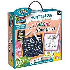 Liscianigiochi montessori lava usato  Spedito ovunque in Italia 