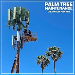 Palm tree maintenance for sale  Delivered anywhere in USA 