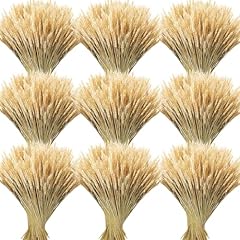 Geosar 800 stems for sale  Delivered anywhere in USA 