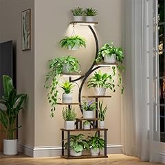 Bacekoll plant stand for sale  Delivered anywhere in USA 