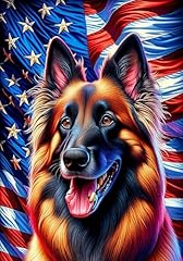 Belgian tervuren best for sale  Delivered anywhere in USA 