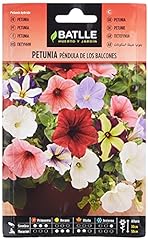 Semi fiori petunia usato  Spedito ovunque in Italia 