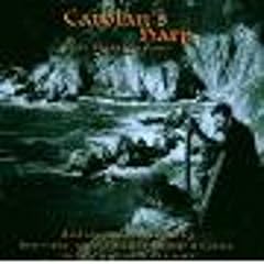 Carolan harp d'occasion  Livré partout en France