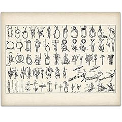 Knots illustration picture for sale  Delivered anywhere in USA 