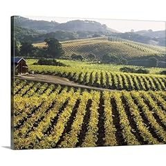 Canvas demand vineyard for sale  Delivered anywhere in USA 