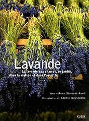 Lavande lavande champs d'occasion  Livré partout en Belgiqu