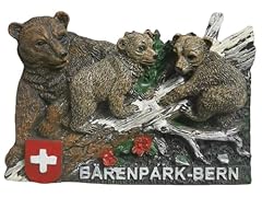 Kühlschrankmagnet bern reise gebraucht kaufen  Wird an jeden Ort in Deutschland