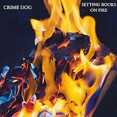 Setting books fire gebraucht kaufen  Wird an jeden Ort in Deutschland