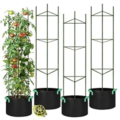 Growneer packs tomato for sale  Delivered anywhere in USA 