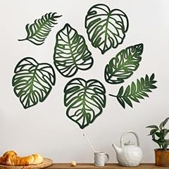 Namalu pcs monstera for sale  Delivered anywhere in USA 