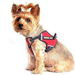 Lmobxevl service dog for sale  Delivered anywhere in USA 