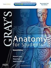 Gray anatomy for usato  Spedito ovunque in Italia 