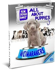 Weimaraner puppies for sale  Delivered anywhere in UK