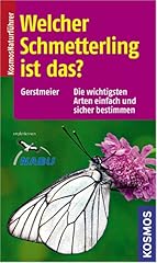Welcher schmetterling wichtigs gebraucht kaufen  Wird an jeden Ort in Deutschland