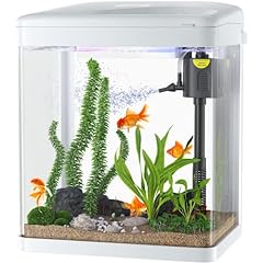 Pondon betta fish for sale  Delivered anywhere in USA 
