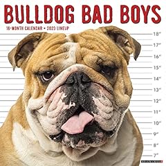 Bulldog bad boys for sale  Delivered anywhere in USA 
