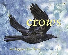 Crows egg sky for sale  Delivered anywhere in USA 