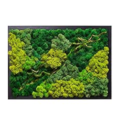 Lvzhihuan moss wall for sale  Delivered anywhere in USA 