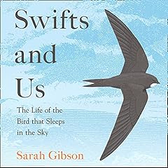 Swifts life bird for sale  Delivered anywhere in UK