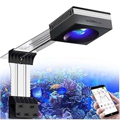 Popbloom rl90 wifi for sale  Delivered anywhere in UK